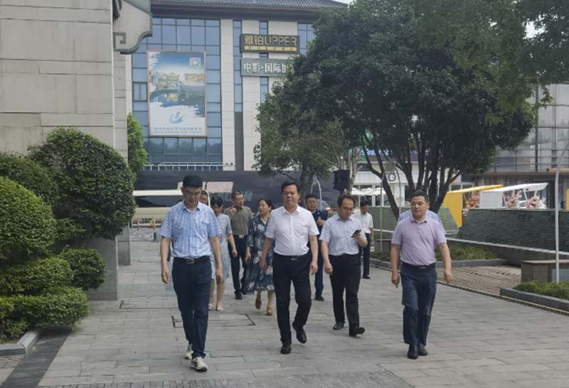 张礼涛副市长赴虹桥坊开展夏季高温重点时段安全检查工作